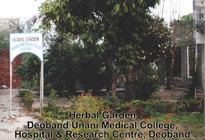 Herbal Garden 1